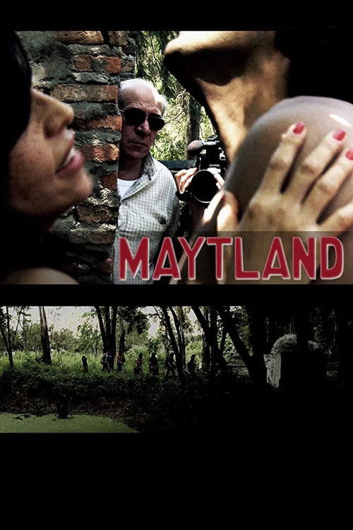 Maytland (2010) poster