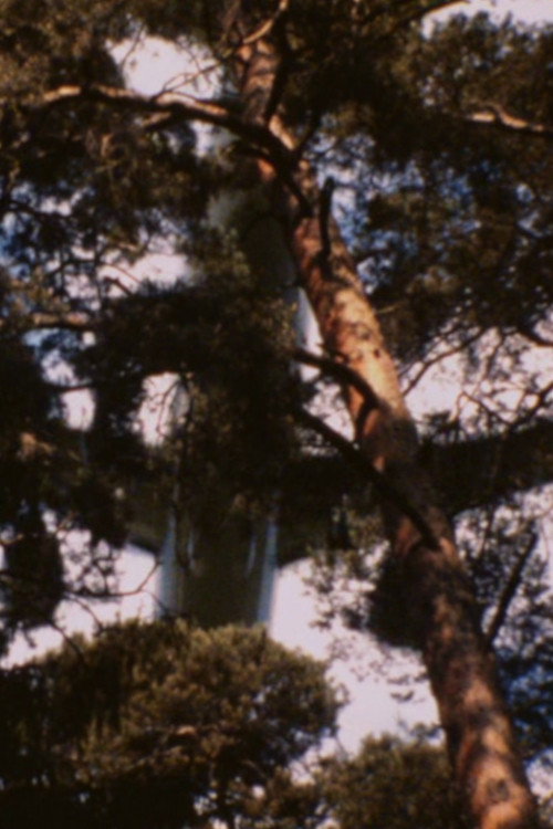 Flugzeuge I (2001) poster