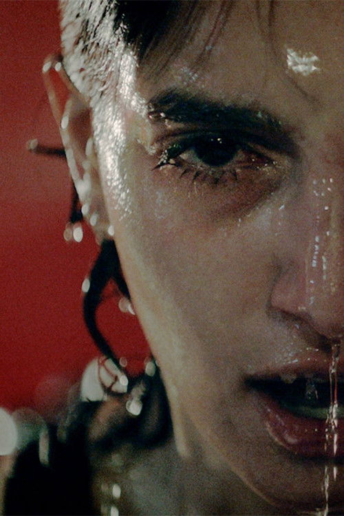 Domesticated (2019) poster