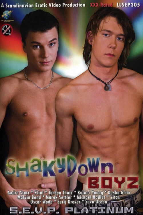 Shakydown Boyz (2009) poster