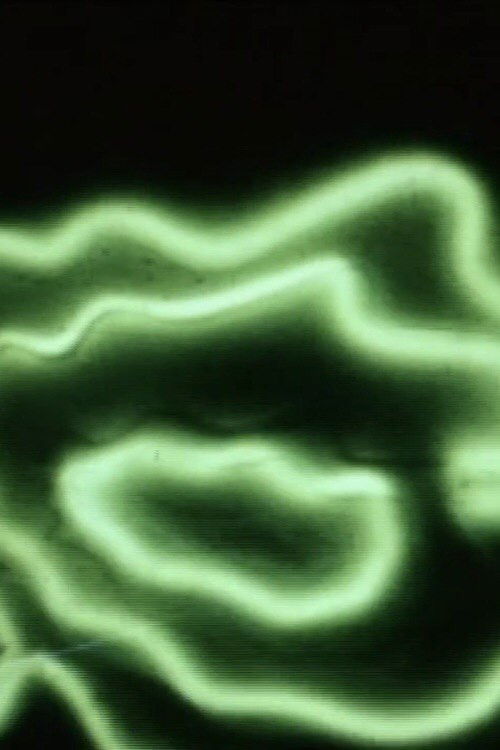 Naturale Artificiale (La Rosa) (1968) poster