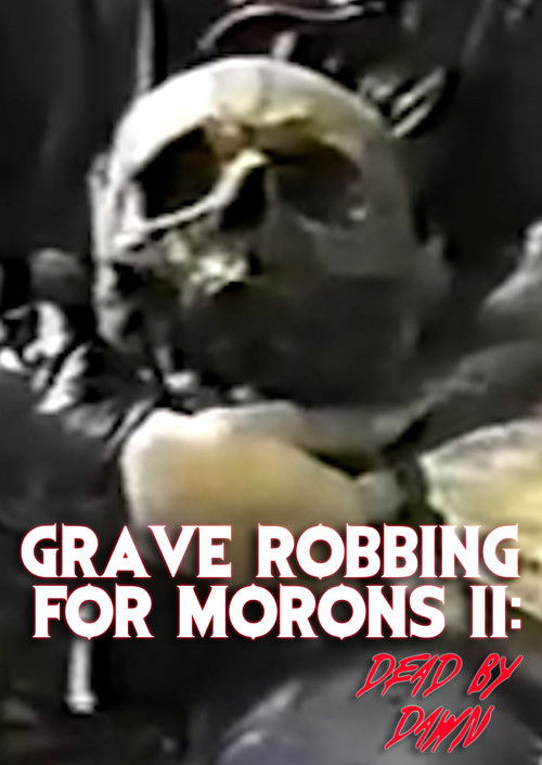 Grave Robbing for Morons II: Dead by Dawn (2024) poster
