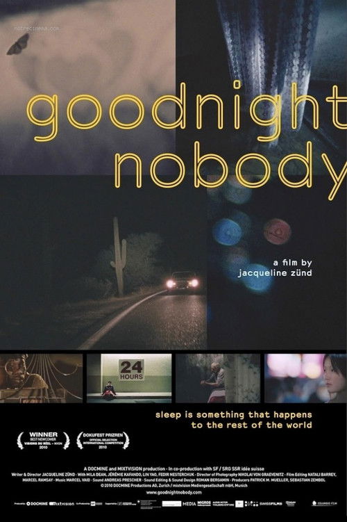 Goodnight Nobody (2010) poster