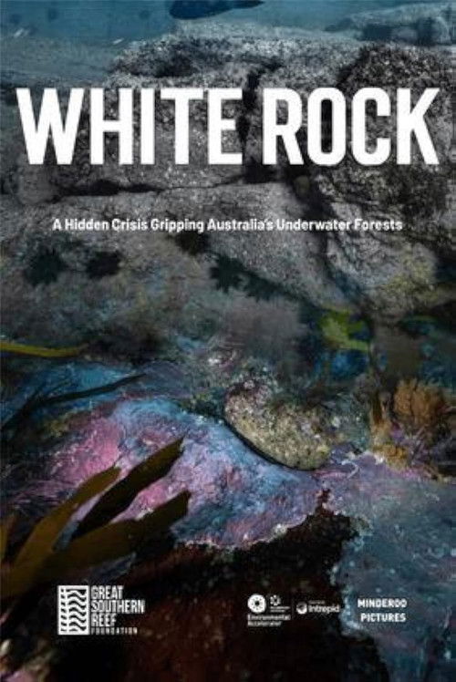 White Rock (2025) poster