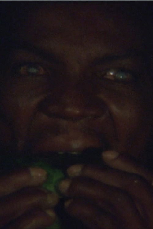 Solar, the Blindman Eating a Papaya (2011) poster