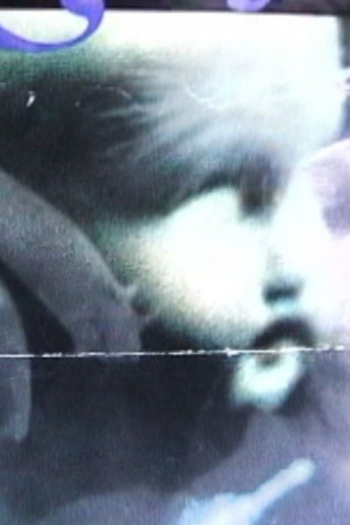 Shadowy Encounters (2002) poster