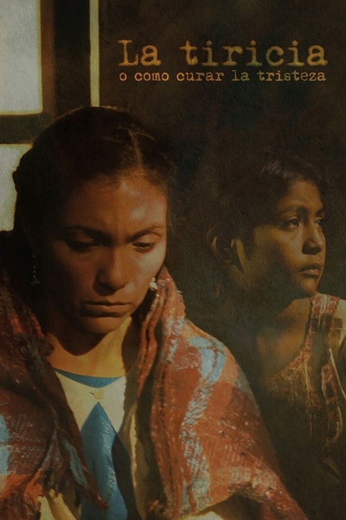 The Doldrums or How to Cure Sadness (2012) poster