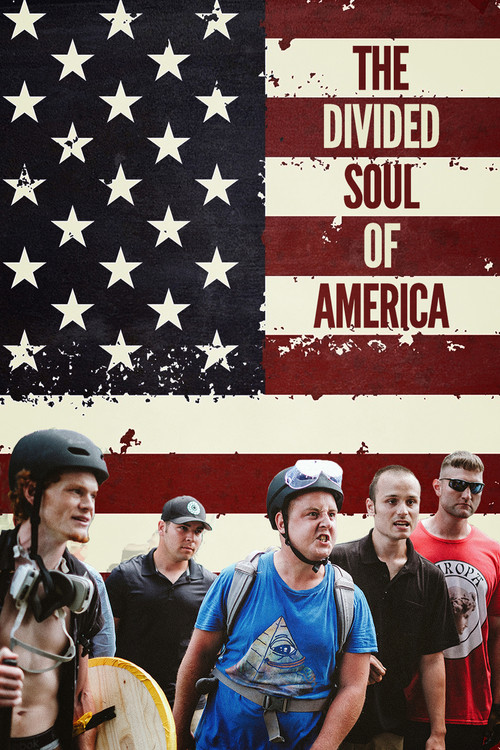 The Divided Soul of America (2019) poster
