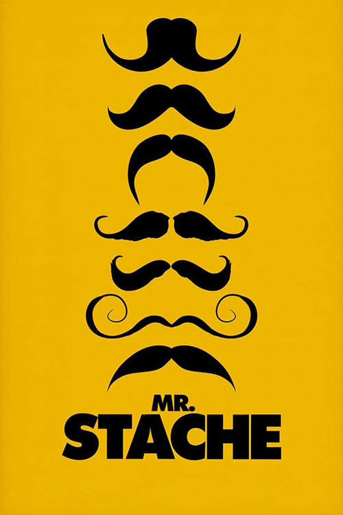 Mr. Stache (2011) poster