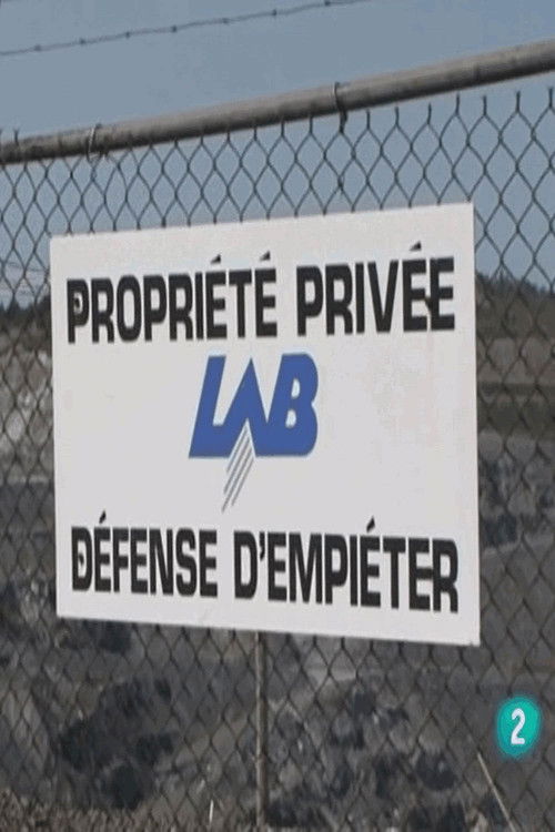 Asbest! Ein Gefahrenstoff Kehrt Zurück - Die Story (2011) poster