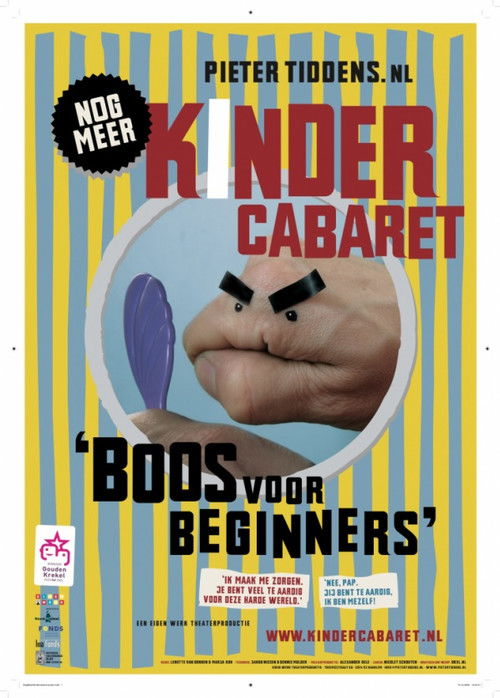 Pieter Tiddens: Boos voor Beginners (2007) poster