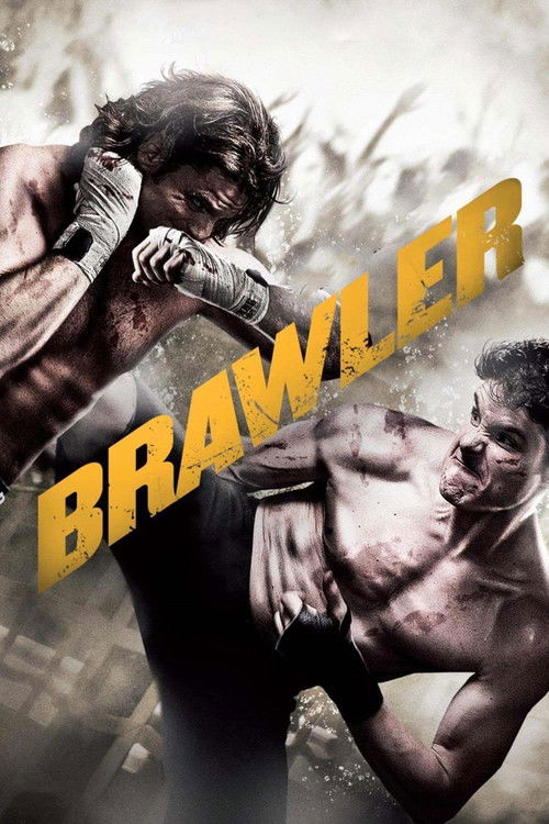 Brawler (2011) poster
