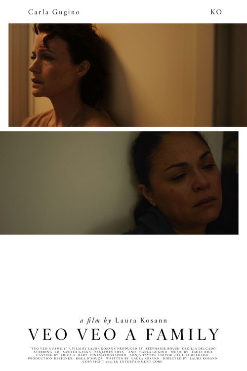 Veo Veo A Family (2024) poster