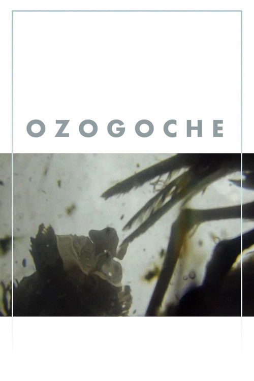 Ozogoche (2023) poster