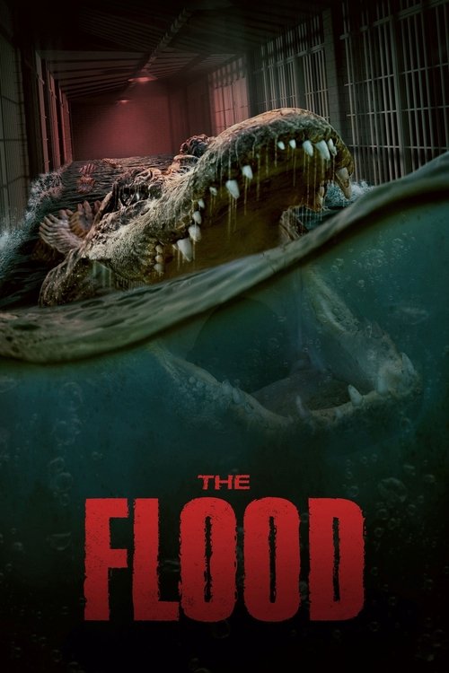 The Flood (2023) poster