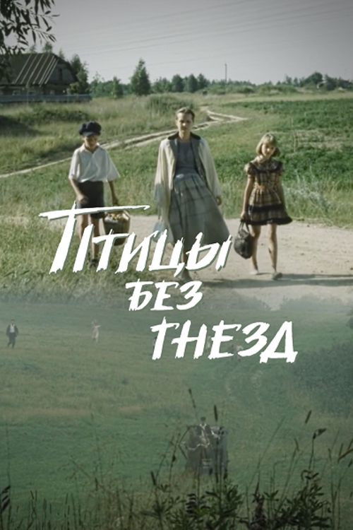 Birds Without Nests (1996) poster