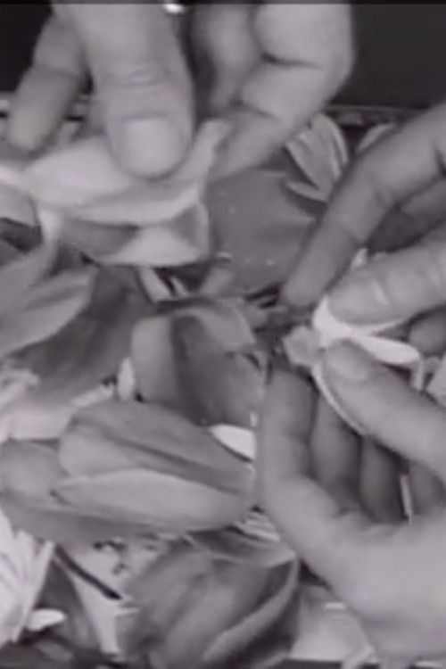 The Clouds That Touch Us Out of Clear Skies (2000) poster