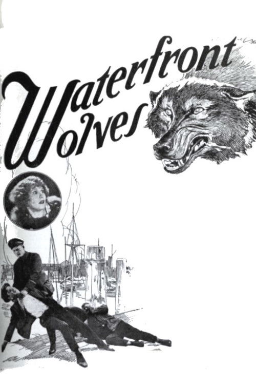 Waterfront Wolves (1924) poster