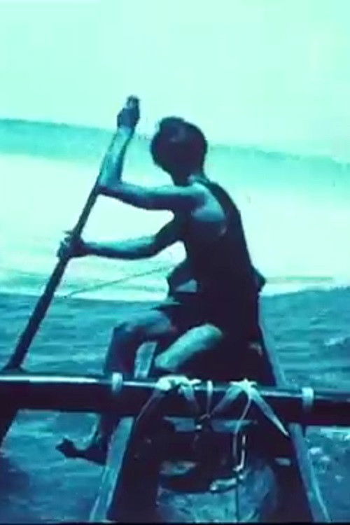 Hawaii: The Paradise of the Pacific (1916) poster