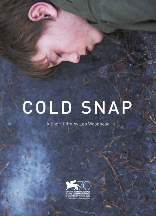 Cold Snap (2013) poster