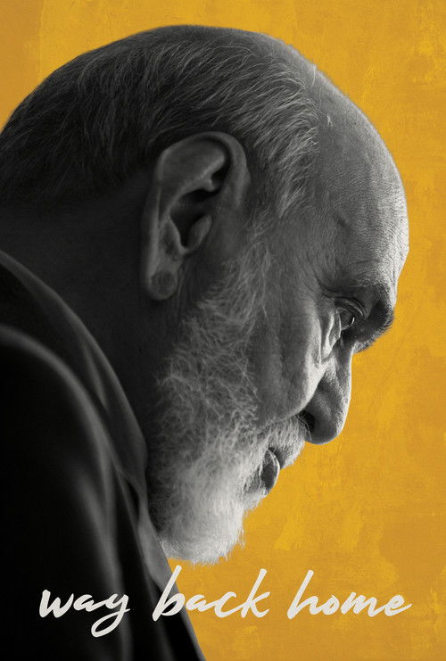 A volta para casa (2019) poster