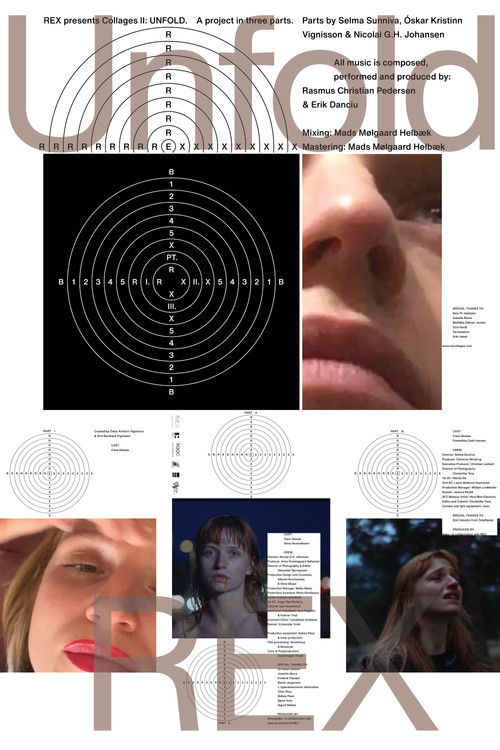 Unfold (2024) poster