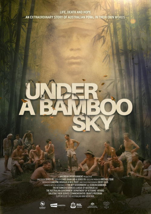 Under a Bamboo Sky (2026) poster