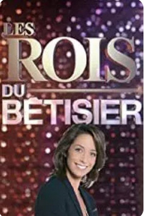 Les Rois du Bêtisier (2011) poster