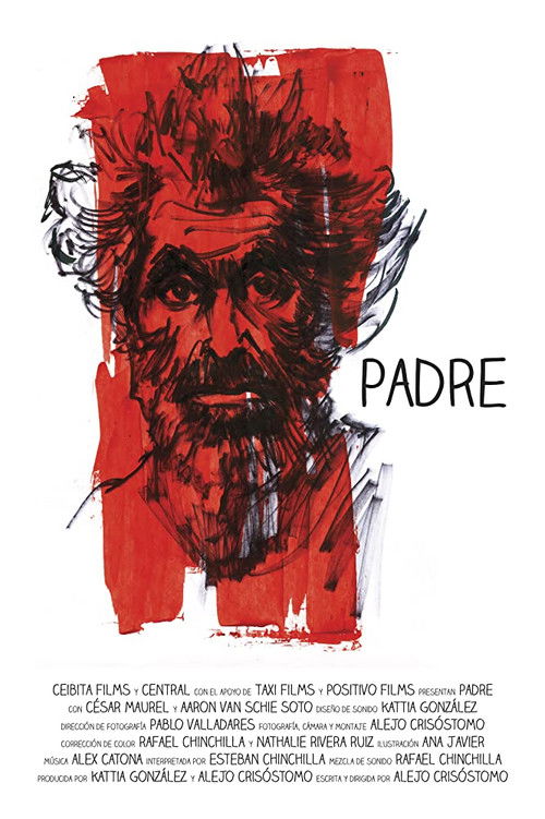 Padre (2013) poster
