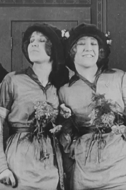 Mixed Identities (1913) poster