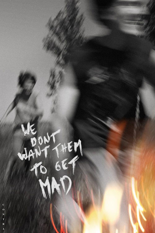 We Don't Want Them To Get Mad (2023) poster
