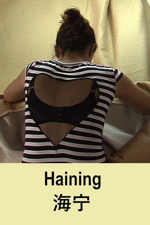 Haining (2016) poster