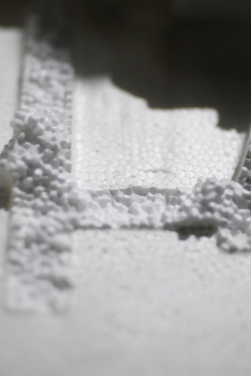 Tenebrio molitor (2020) poster