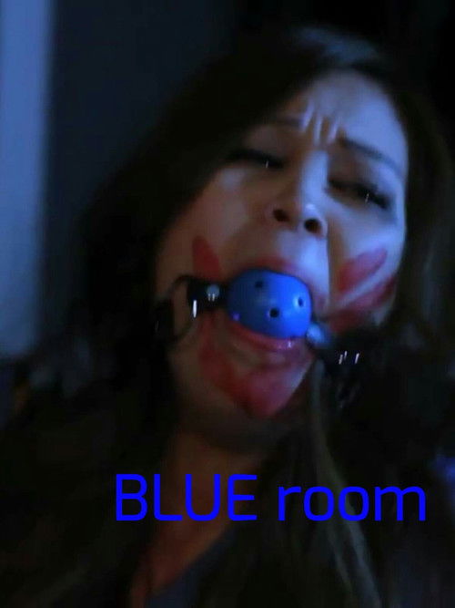 Blue Room (2013) poster