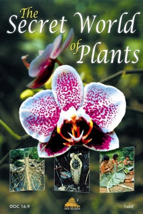 The Secret World of Plants (2003) poster