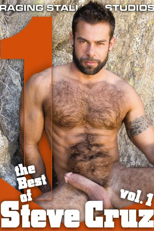 The Best of Steve Cruz (2009) poster