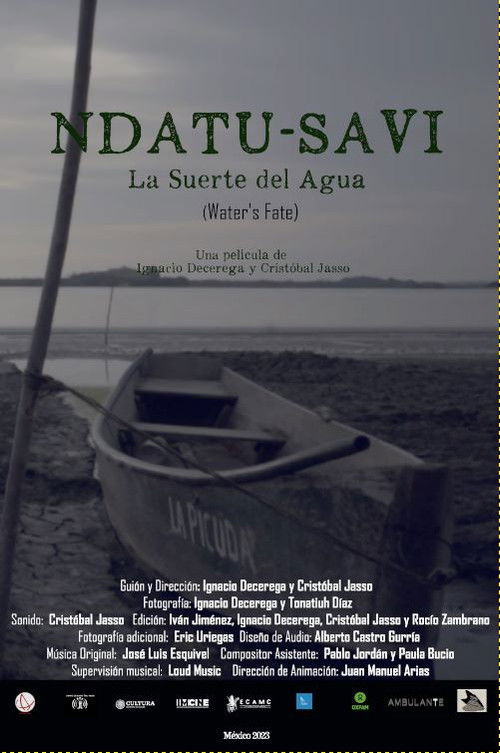 Water's Fate (2024) poster