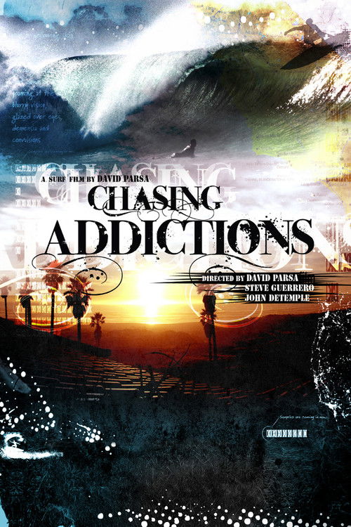 Chasing Addictions (2013) poster
