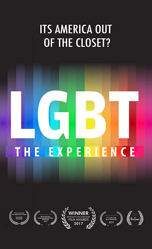 LGBT Experience (2018) poster