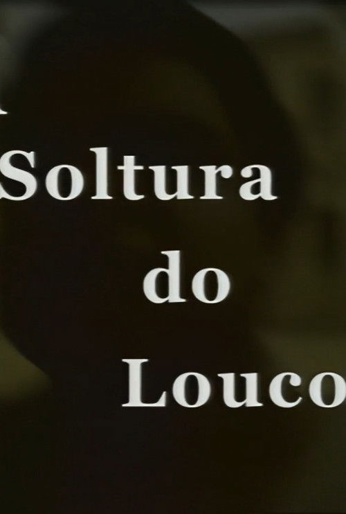 A Soltura do Louco (2009) poster