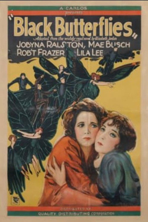 Black Butterflies (1928) poster