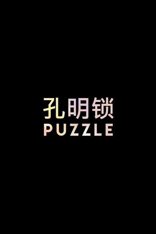 PUZZLE (2017) poster