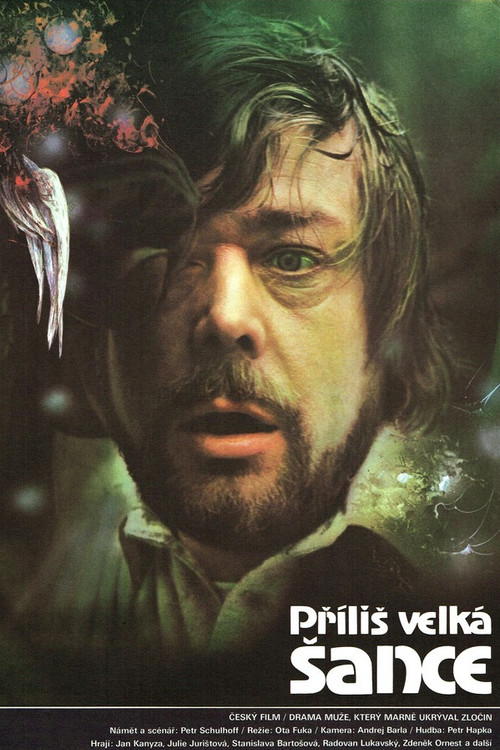 Příliš velká šance (1985) poster