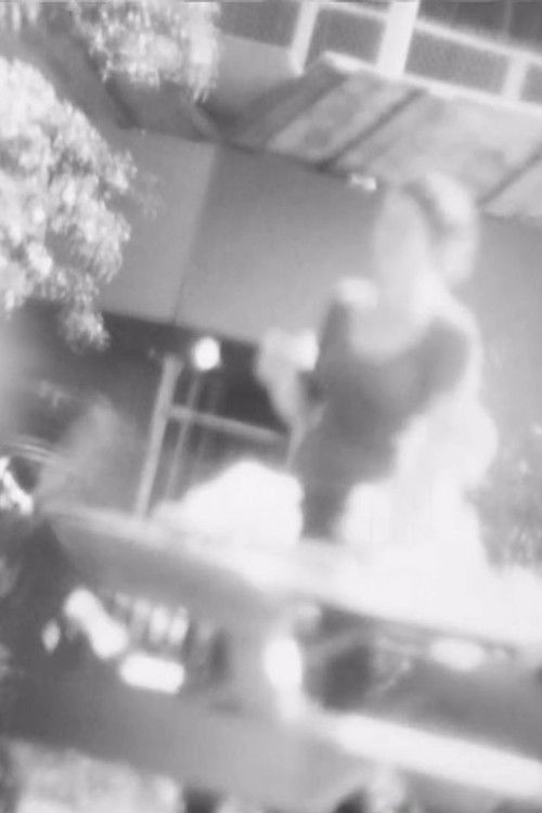 Definition (2013) poster