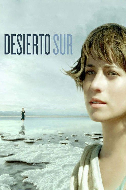 Desierto Sur (2008) poster