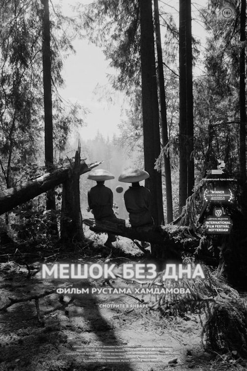 Мешок без дна (2018) poster
