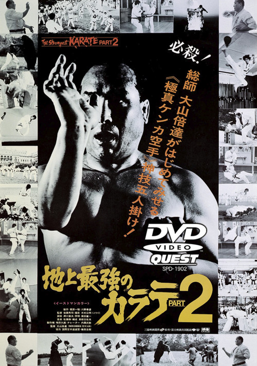 The Strongest Karate Part 2 (1976) poster