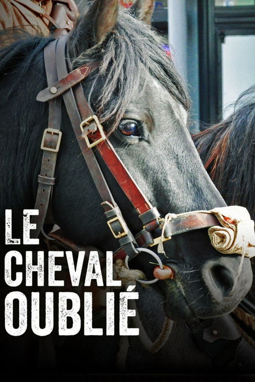 Le cheval oublié (2021) poster