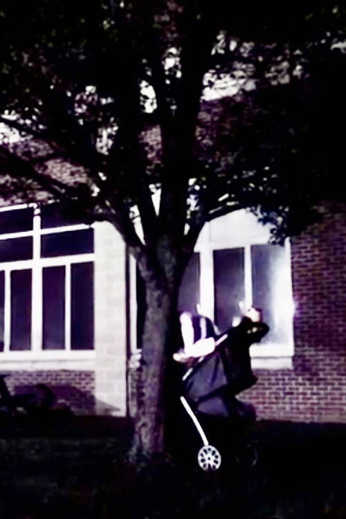 Home: 0 (2021) poster