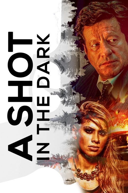 A Shot in the Dark (2005) poster